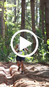 BIB:  <button type="button" onclick="openModal(26569518)" class="btn btn-primary btn-sm float-right" data-toggle="modal" data-target=".modal-high-quality">
                <i class="fa fa-download"></i> Download
                </button>